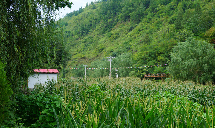 杨子山庄周边景观